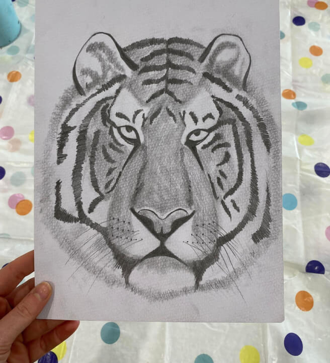 Realistic Tiger Drawing Class for Kids